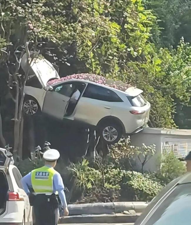 SUV腾空后挂树上 起飞瞬间被拍下 隧道口惊魂一幕