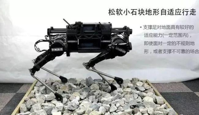 宇树科技王兴兴身家有望超200亿元 科创板IPO开启申购大幕
