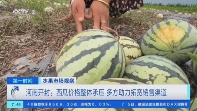 水果扎堆上市价格便宜了 夏日水果集体降价