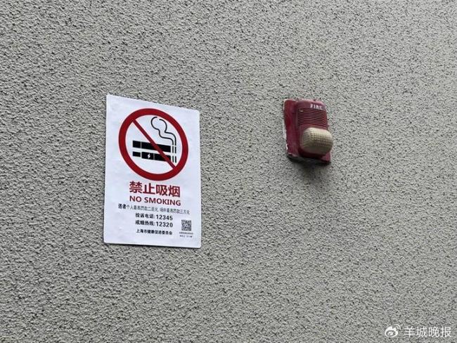 大学校园为何难禁烟 二手烟困扰学生健康