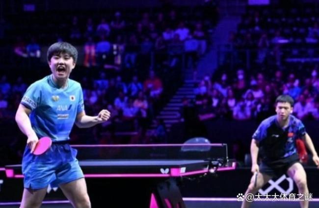 张本智和：零封向鹏不意外 主场优势显实力