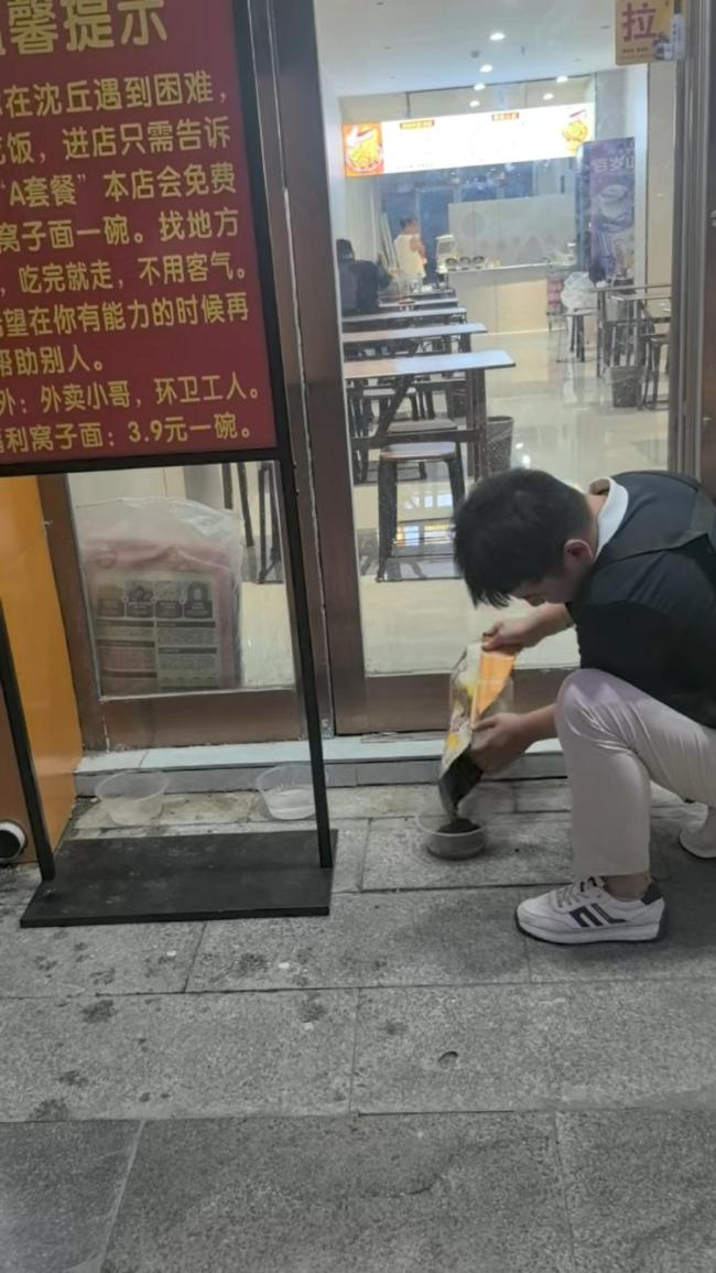 12秒猫咪干饭视频百万播放 暖心举动获赞无数