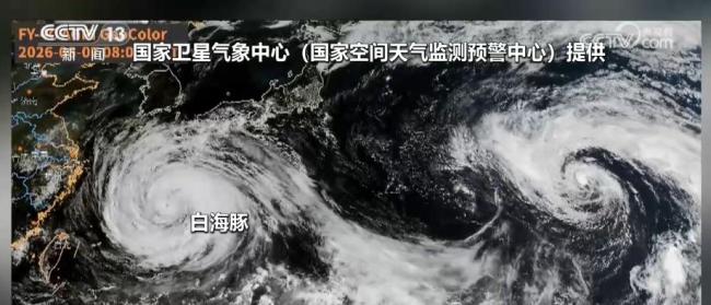 白海豚生命史是普通台风3倍以上 远洋长驱罕见路径