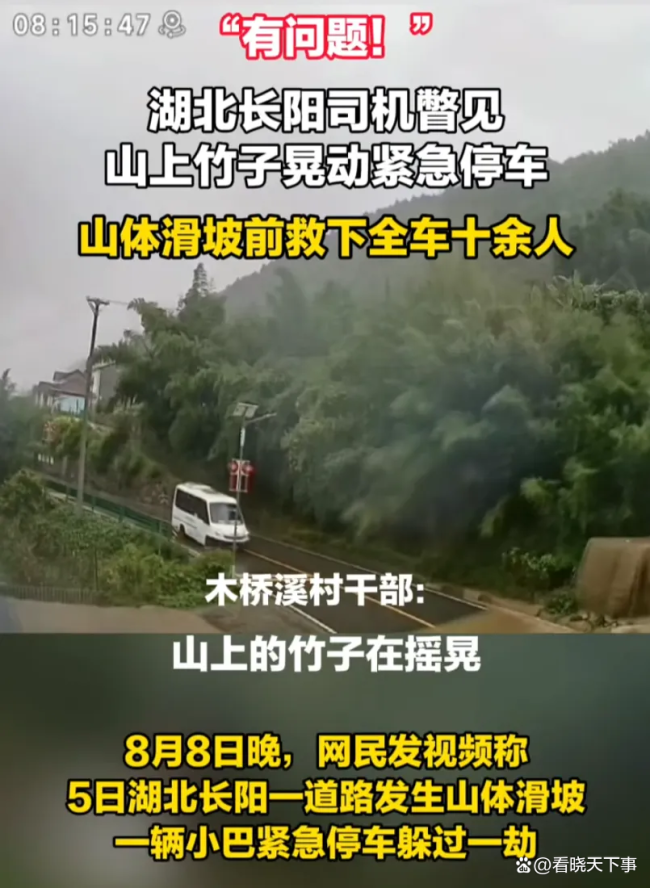 司机见竹子晃动紧急停车救下全车人