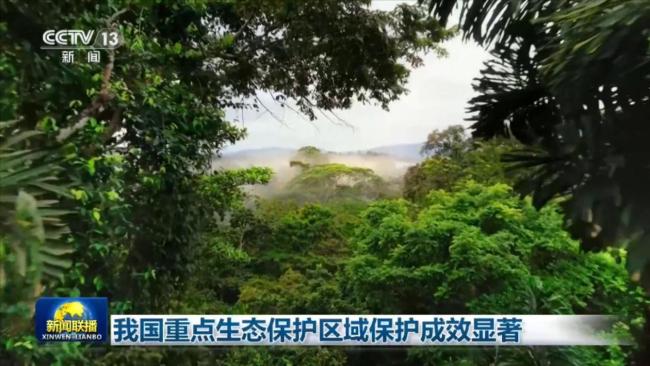 我国重点生态保护区域保护成效显著