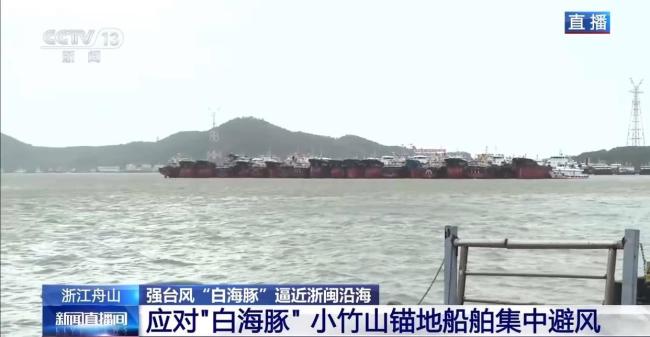 白海豚逼近浙闽沿海 舟山客运全线停航