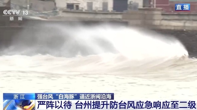 白海豚将至 台州沿岸画面已模糊