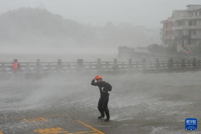 台风白海豚正式登陆 强台风级威力惊人