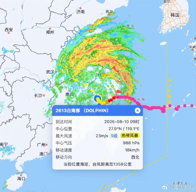 台风白海豚“催生”最强打工人 风雨无阻的坚守