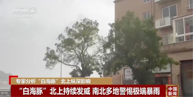 白海豚罕见路线拐弯 直冲武汉引发关注