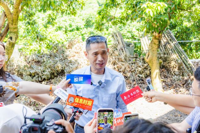 龙眼荔枝杂交果38元一斤 香甜脆嫩首次上市