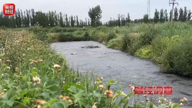 多地乡村排污乱象触目惊心 恶臭刺鼻农田荒