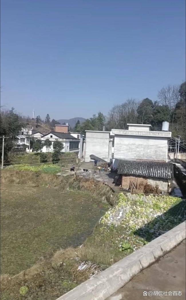 父母17年7次寻女凶手母亲假意招待 十七年谎言终曝光