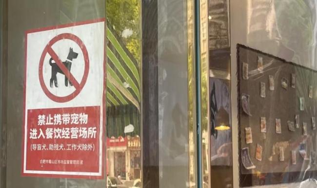 多家商场陆续取消宠物友好 管理难题凸显