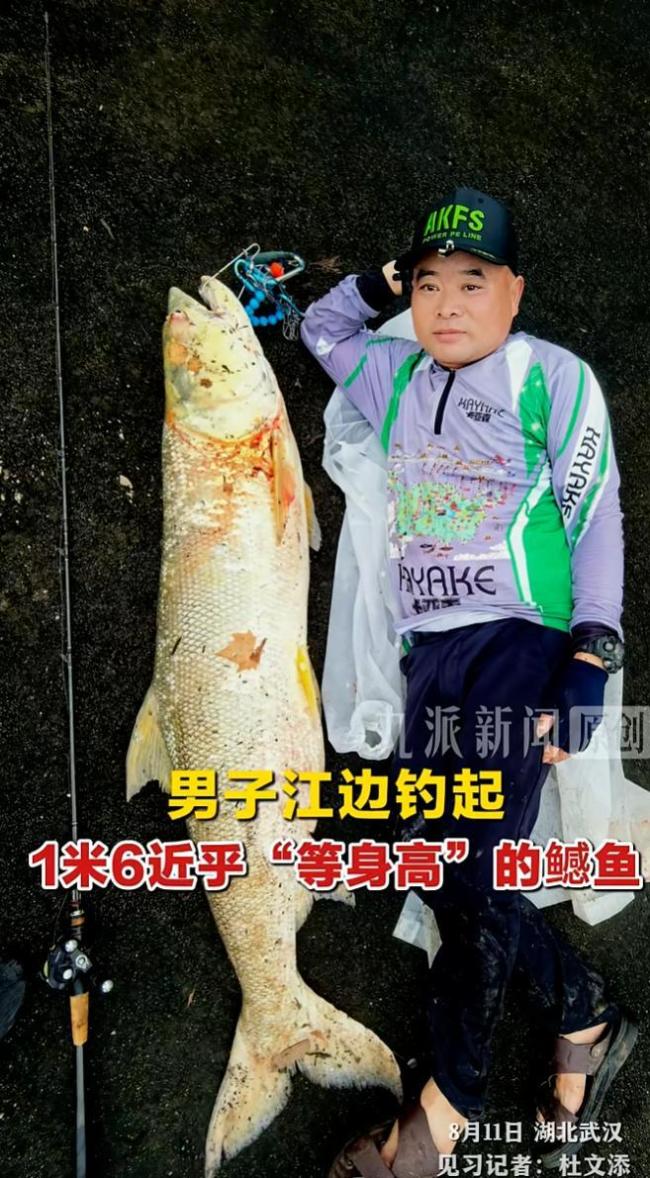 把1.6米大鱼挂车后男子否认炫耀 无意炫耀引发热议