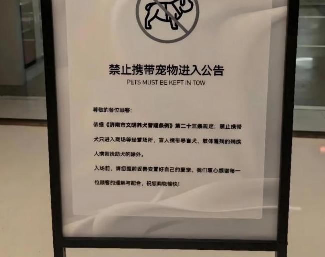 多家商场陆续取消宠物友好 管理难题凸显