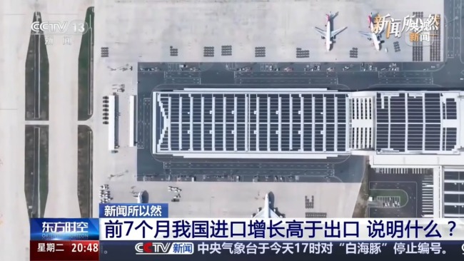 “世界市场” 中国上半年都在买什么?