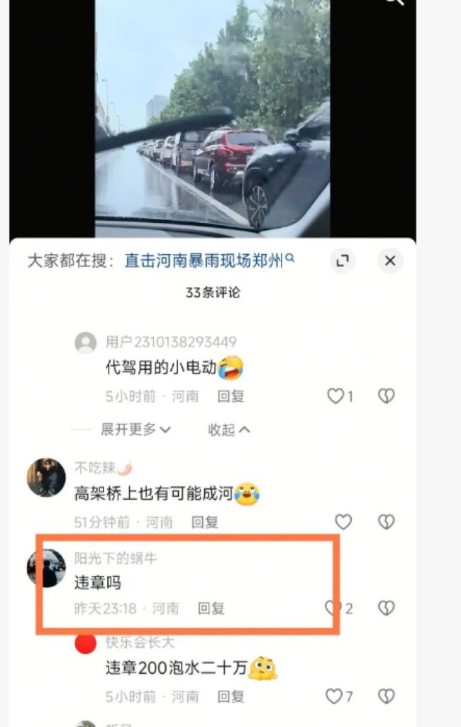 交警谈有私家车停在高架桥上 紧急避险需谨慎