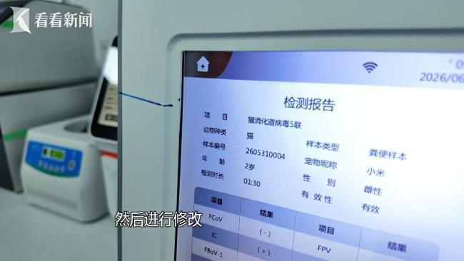 宇宙首例诓骗宠物骗保案告破 流浪猫狗成骗保用具