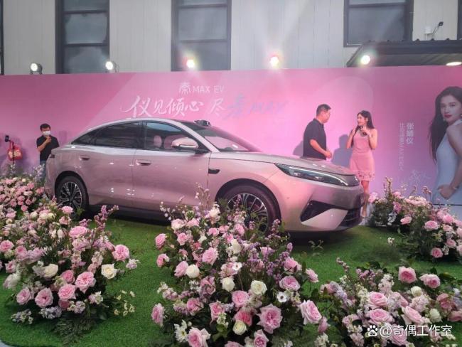 张婧仪秦MAX发布会生图
