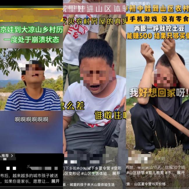 吃苦夏令营走红 让孩子体验真实劳动