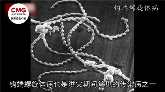 暴雨过后 别让“想当然”害了你 防范“病从口入”