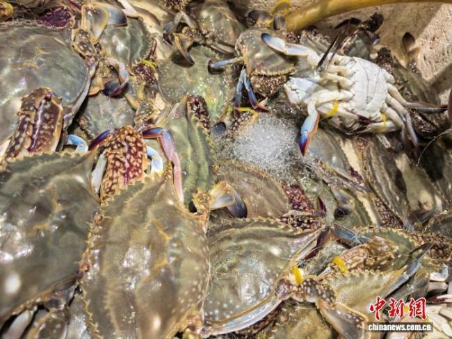 年轻人流行起夜间“拼蟹” 时令美食成新风尚