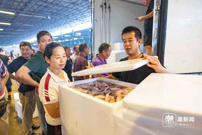 东海小开渔宁波“全城抢鲜” 秋日海鲜上市引发热潮