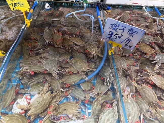 海鲜价格有望回落30% 南方梭子蟹大量入市