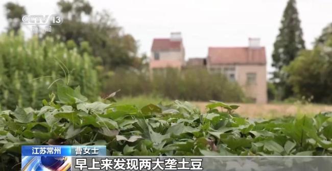 所长 有人送来个大冰箱：市民感激民警解忧