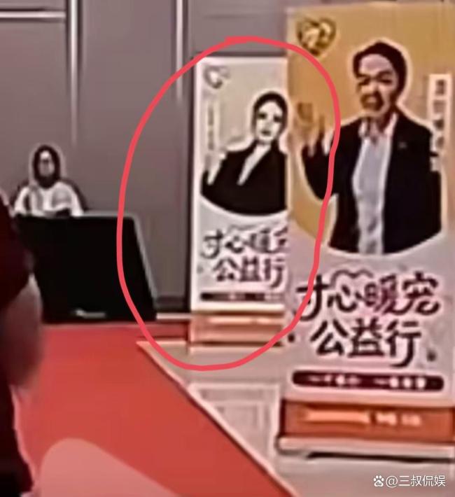 那艺娜为何还敢钻公益空子 劣迹艺人再试探底线
