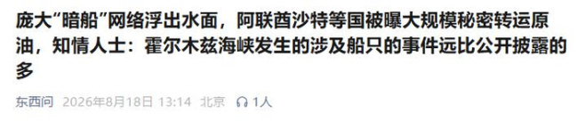 中东多国被曝秘密转运原油 暗船网络成关键生命线
