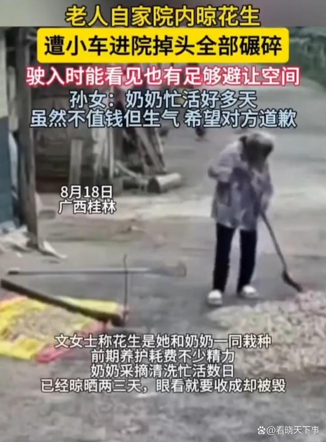 老人院内晾花生遭小车进院全部碾碎