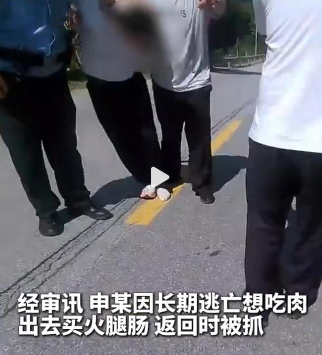逃犯躲深山因想吃肉下山买火腿肠被抓 警方高压侦查终落网