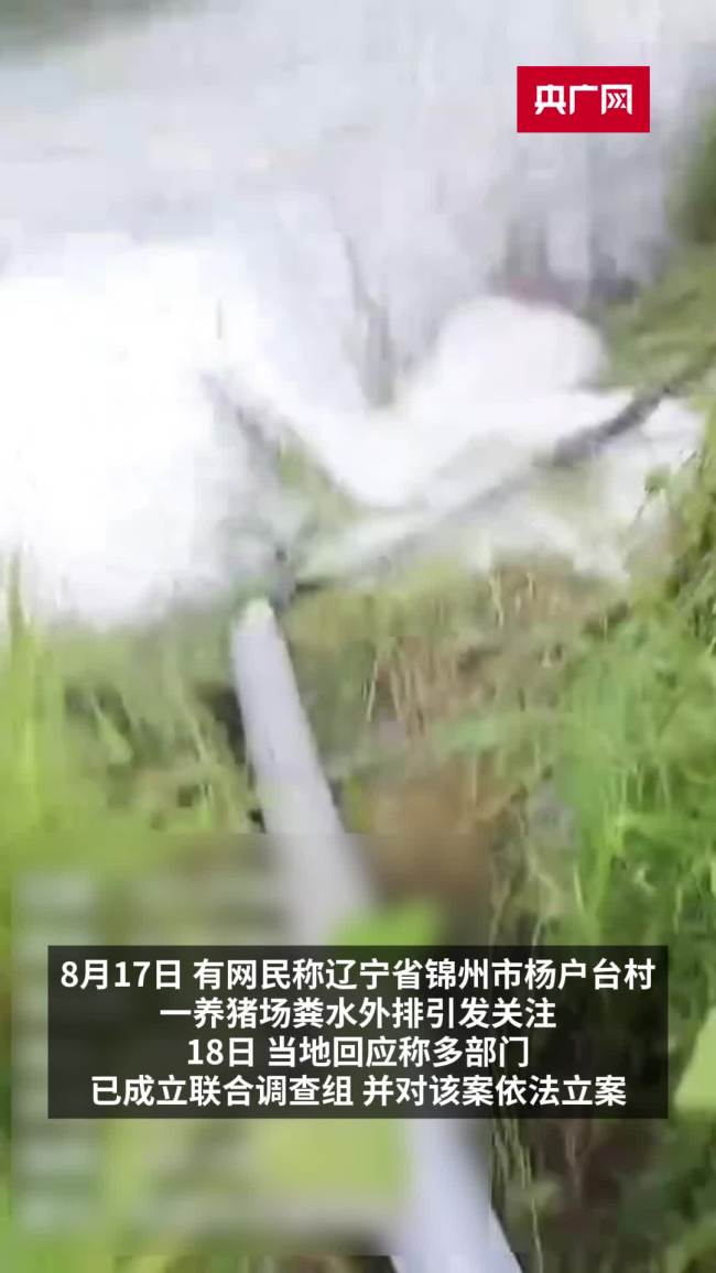 养猪场被指粪水外排涉事企业被立案 环保违规屡罚不改