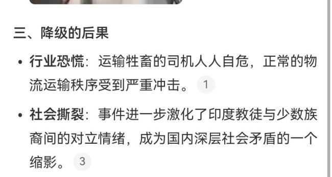 印度人袭击疑载有牛肉的卡车致多人丧生