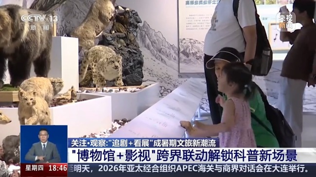 “追剧”成暑期文旅新潮流 联动解锁科普新场景