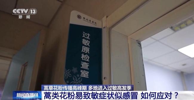 多地进入蒿草花粉过敏高发季 就诊人数激增
