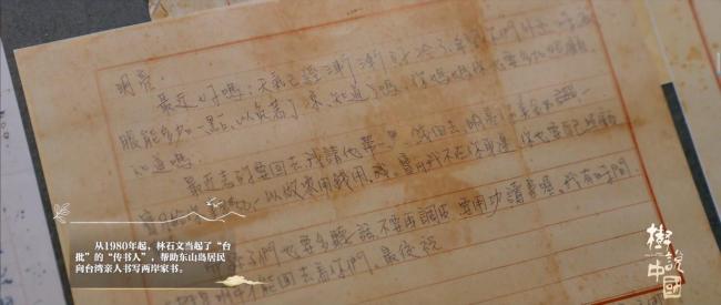 这棵榕树见证现实版给阿嫲的情书 落叶归根的守望