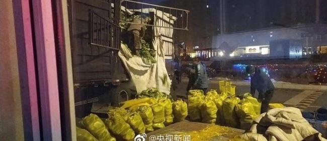 广州全市排查大白菜