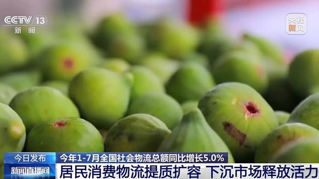 全国社会物流总额同比增长5.0% 物流需求稳中有进