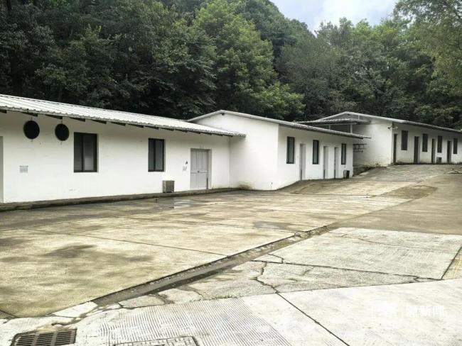 中秋杭州多家寺院停售月饼
