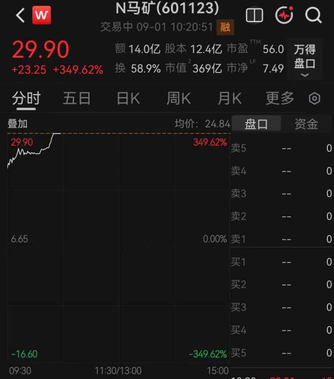 新股N马矿涨近350%临停