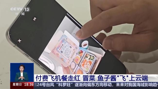 付费飞机餐走红 你愿意买单吗? 空中美味新选择