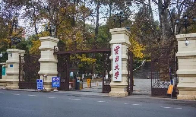 云南大学粉黛乱子草盛放如烟似霞 治愈都市疲惫心灵
