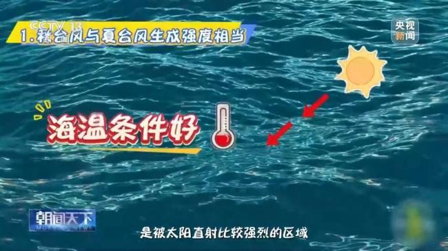 9月或有2~3个台风影响我国 秋台风威力更强