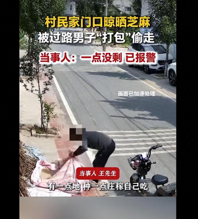 村民在家门口晒芝麻全被偷走