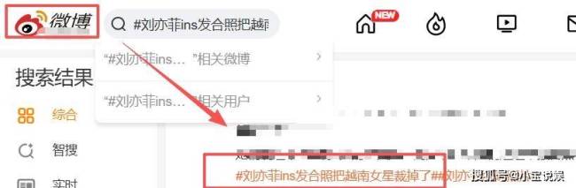 刘亦菲遭越南网友“围攻”？裁图风波引发争议