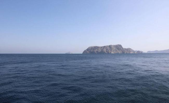 霍尔木兹海峡原油日流量低于1100万桶 油价逼近100美元