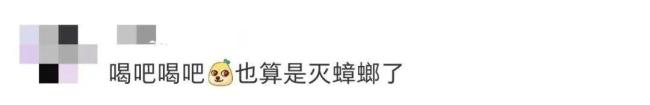 让广东人闻风丧胆的蟑螂奶来了 营养惊人引发热议
